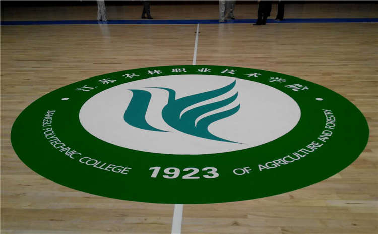 拼接板體育館實木地板板式龍骨結構