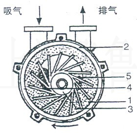 楓木運(yùn)動木地板多少錢一平米？