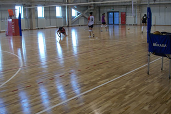 ��(sh��)ľ�w���ذ�