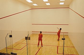 壁球木地板 壁球木地板