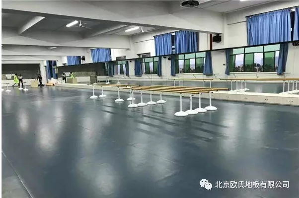 舞蹈室地膠--廣東河源市理工學校理工學校成功案例 舞蹈室地膠--廣東河源市理工學校理工學校成功案例
