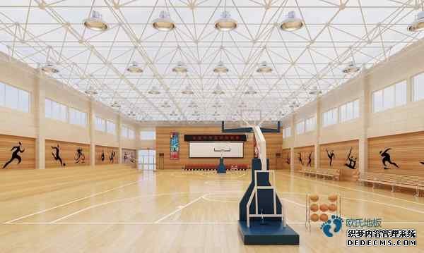 比賽場(chǎng)館籃球場(chǎng)地板代理商
