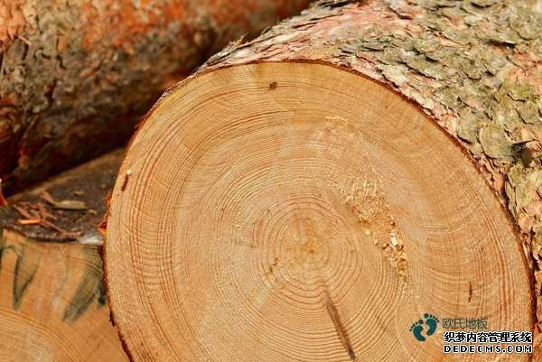 場館籃球地板報(bào)價