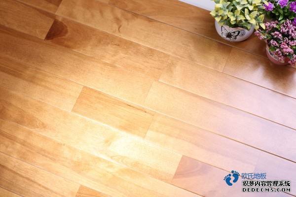 訓練館籃球館地板翻新